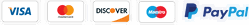 Visa, Mastercard, Discover, Maestro and PayPal