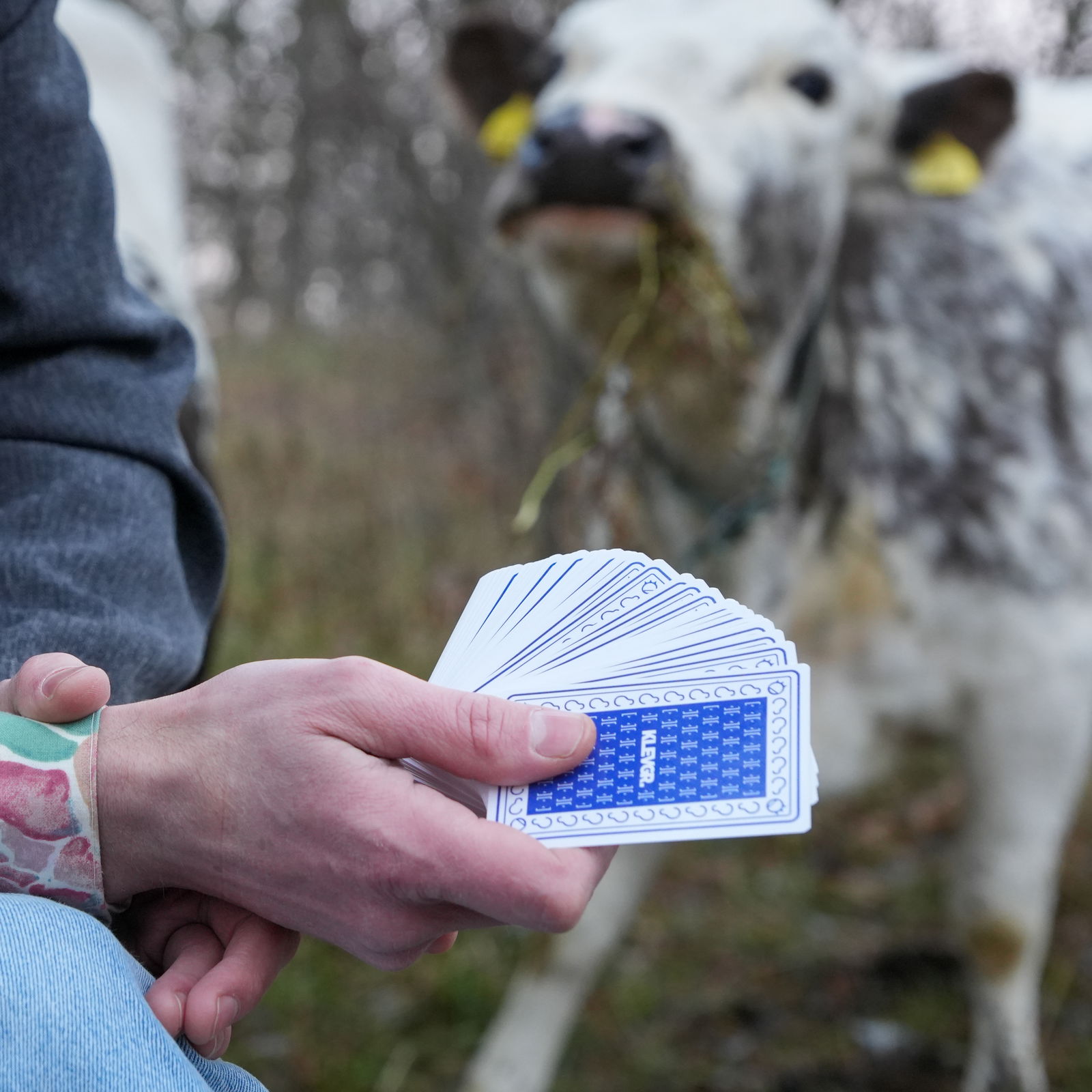 Klevgrand Deck of Cards