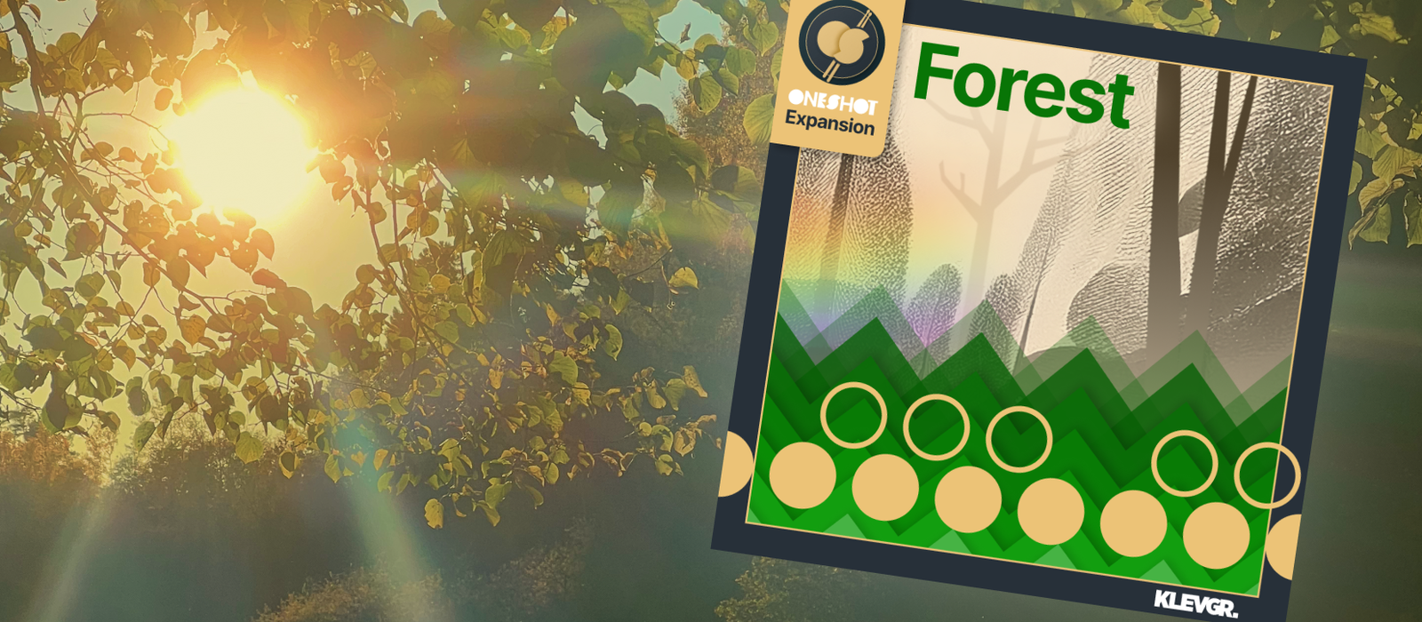 Getting Lost in the Woods!