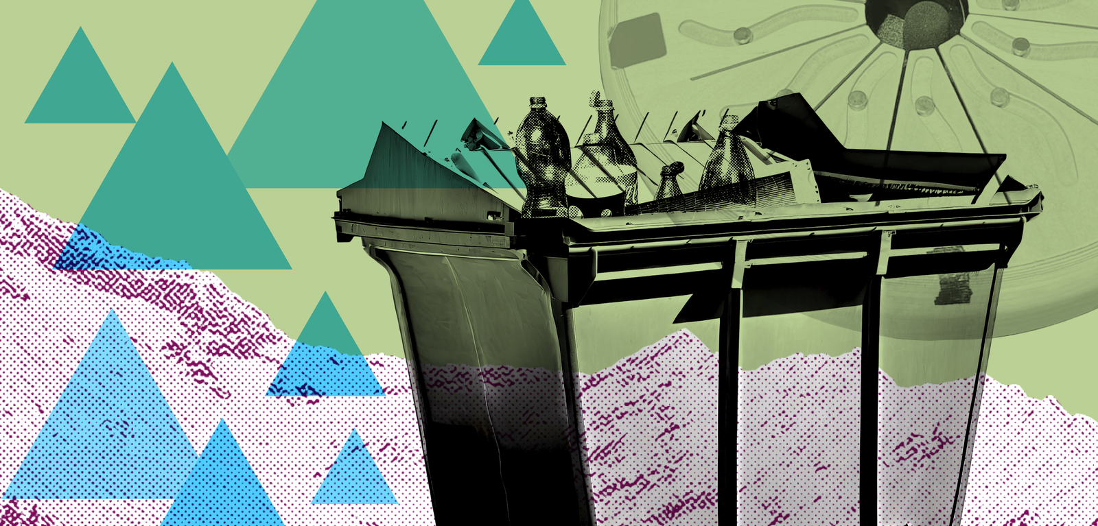 We found some magic in the bin